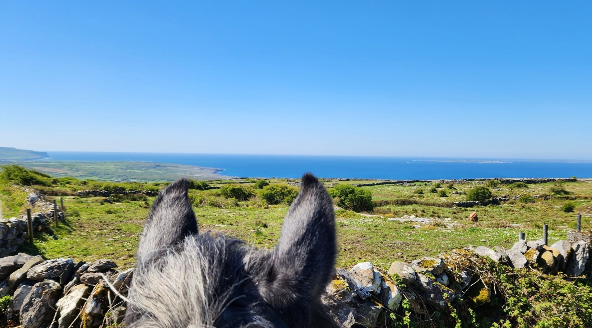 The edge of the Burren where the limestone meets the Atlantic