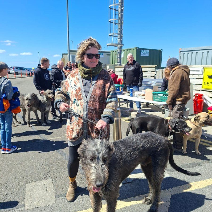 Cat with her dogs among people in Doolin